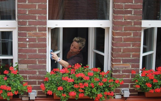 žena u okna